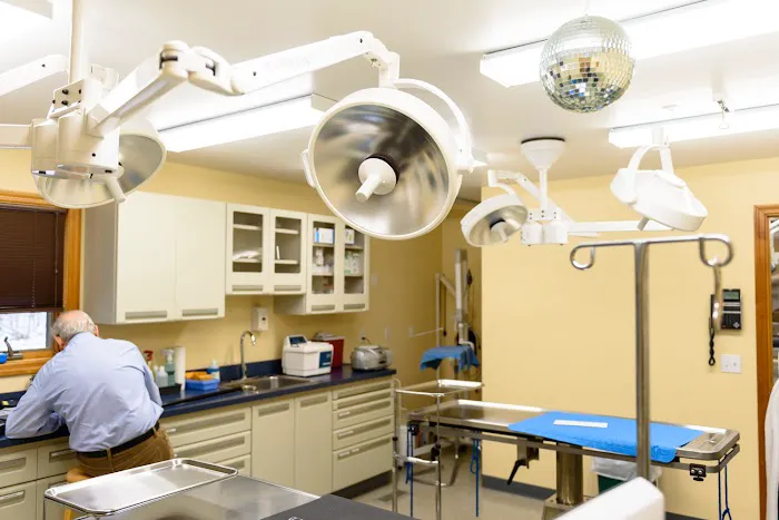 Mattituck-Laurel Veterinary Hospital 9