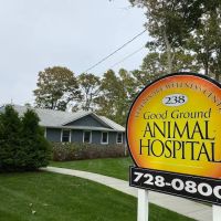 Good Ground Animal Hospital ico