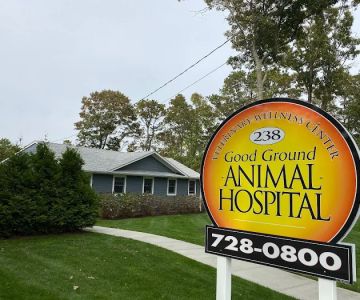 Good Ground Animal Hospital