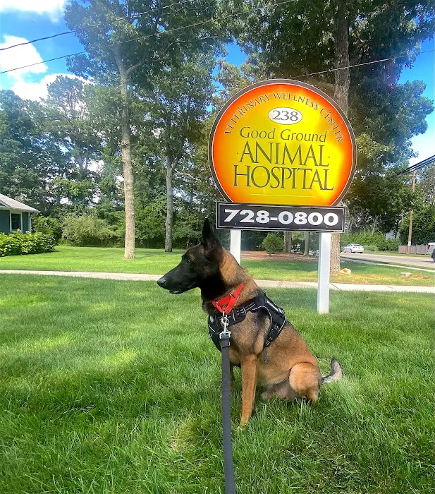Good Ground Animal Hospital 7