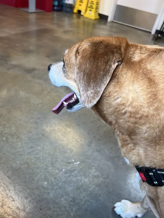 Crab Orchard Veterinary Services 12