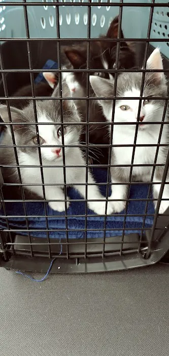 Crab Orchard Veterinary Services 12