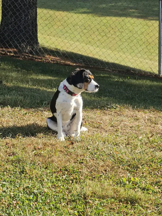 Crab Orchard Veterinary Services 12