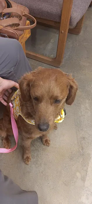 Crab Orchard Veterinary Services 12