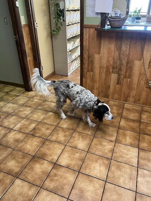 Town & Country Veterinary Hospital 12