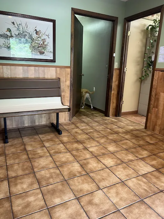 Town & Country Veterinary Hospital 12