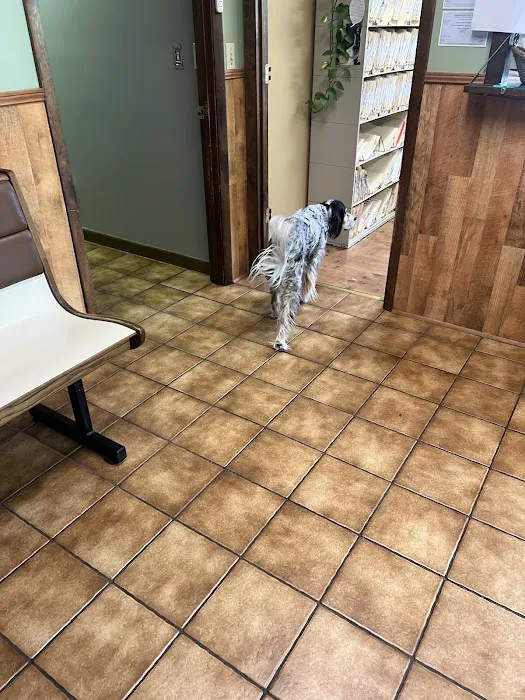 Town & Country Veterinary Hospital 12