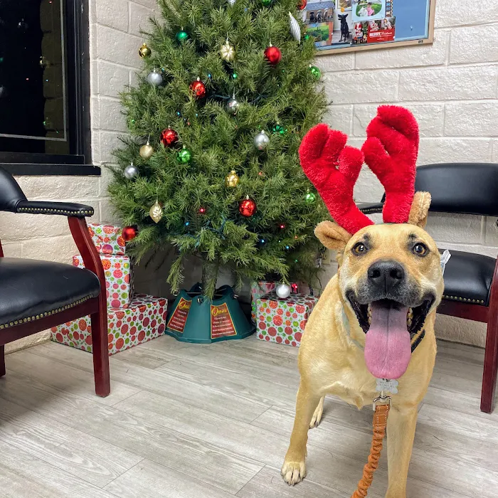 Woodcrest Veterinary Clinic 12