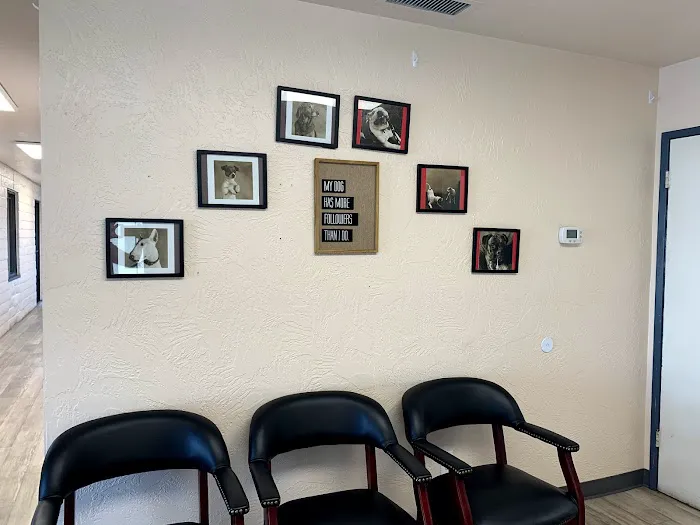 Woodcrest Veterinary Clinic 12