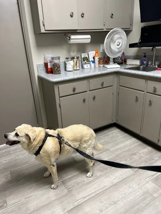 Woodcrest Veterinary Clinic 12