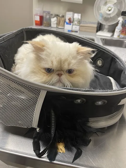 Woodcrest Veterinary Clinic 12