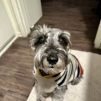 Woodcrest Veterinary Clinic ico