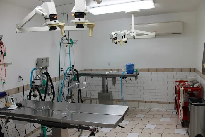 Sunnymead Animal Hospital 8