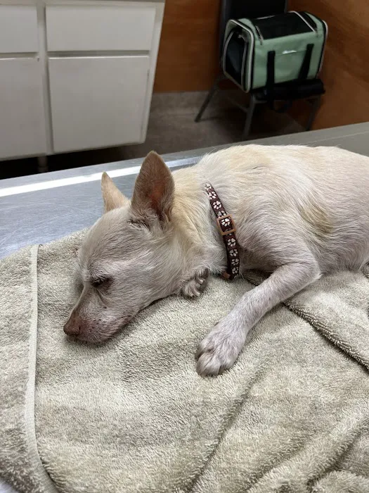 Sunnymead Animal Hospital 10