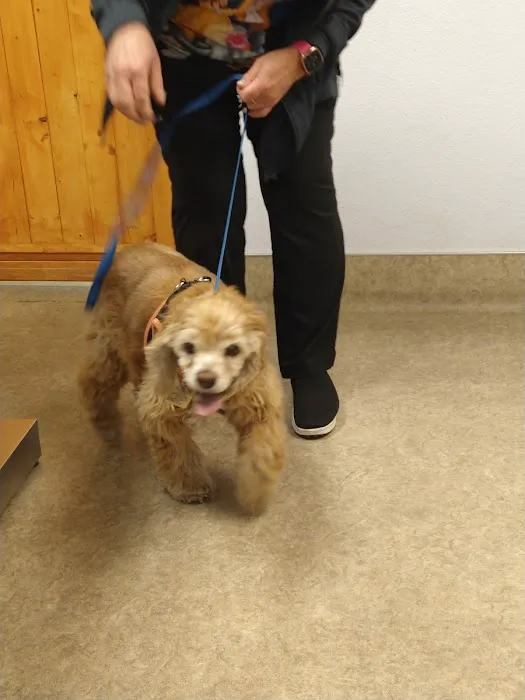 Sunnymead Animal Hospital 2