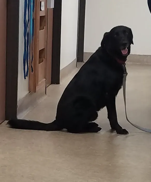 Sunnymead Animal Hospital 6