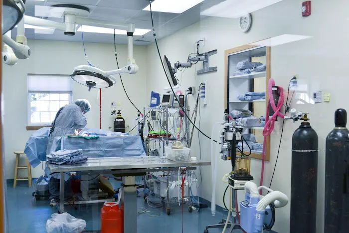 VCA Veterinary Specialists of CT 12