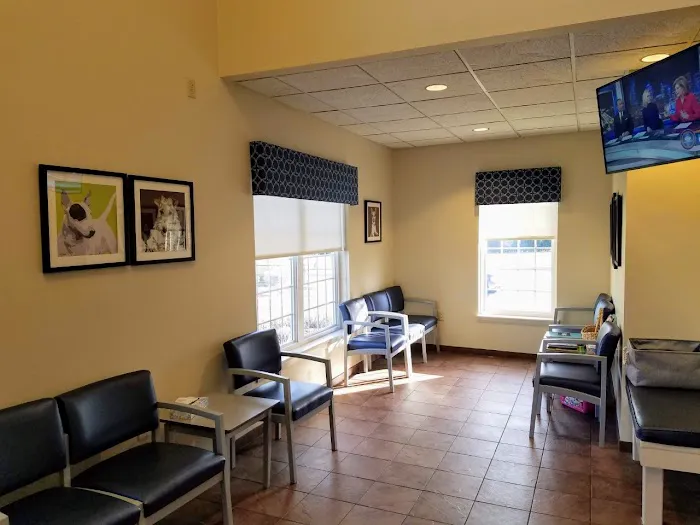 VCA Veterinary Specialists of CT 12