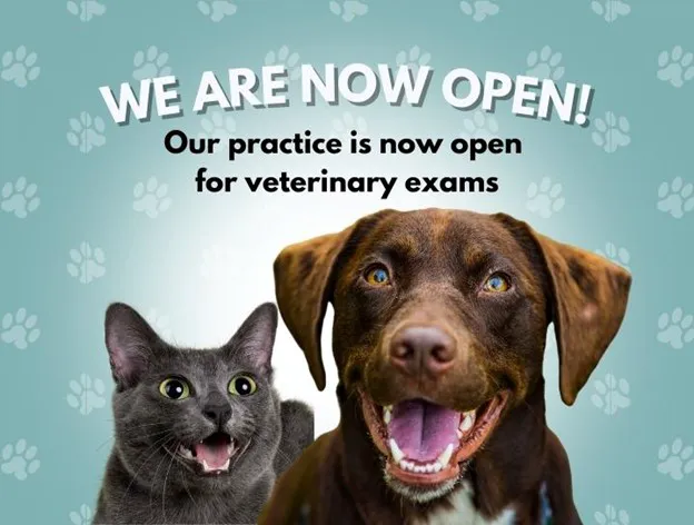 Simsbury Veterinary Hospital 9