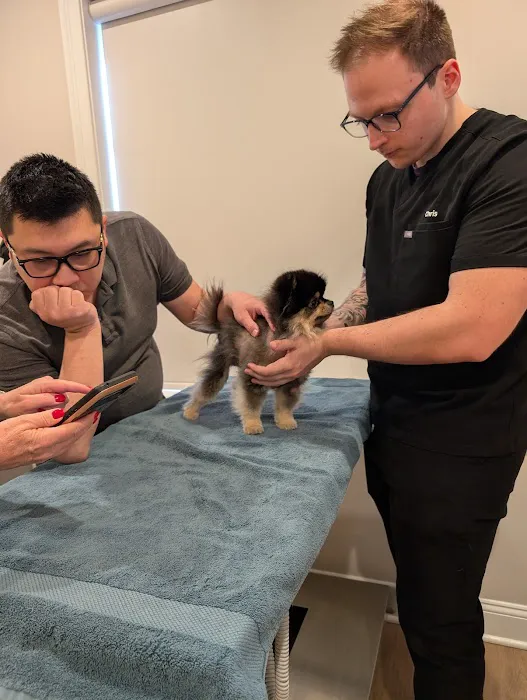 Zenith Veterinary Dermatology 12