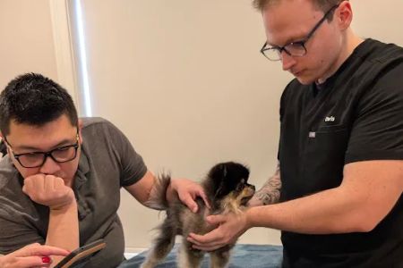 Zenith Veterinary Dermatology