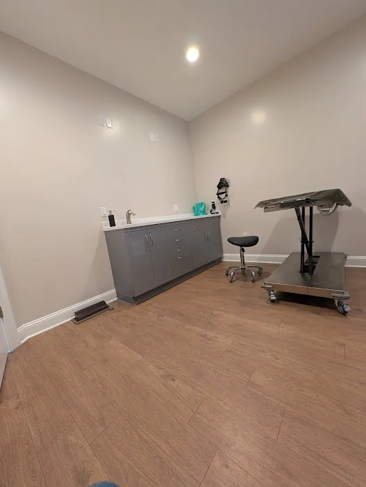 Zenith Veterinary Dermatology 12