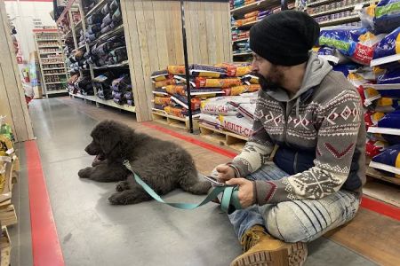 PetVet Vaccination Clinic