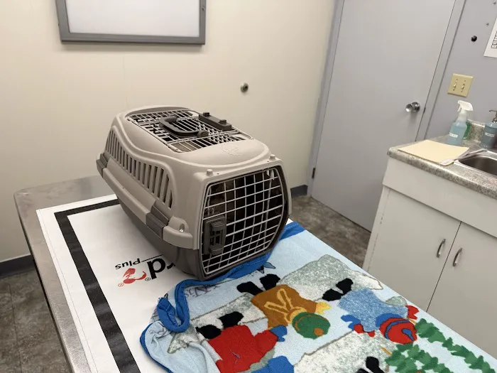 Guilderland Animal Hospital 12