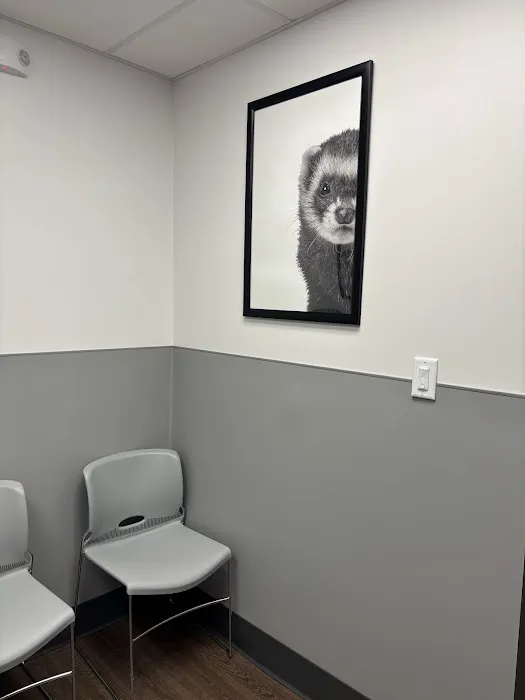 PetMedic Albany - Urgent Care Vet Clinic 12