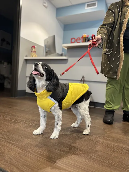 PetMedic Albany - Urgent Care Vet Clinic 12