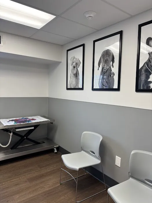 PetMedic Albany - Urgent Care Vet Clinic 12