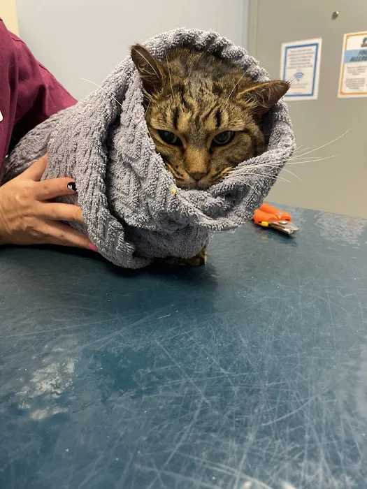 Sand Creek Animal Hospital 12
