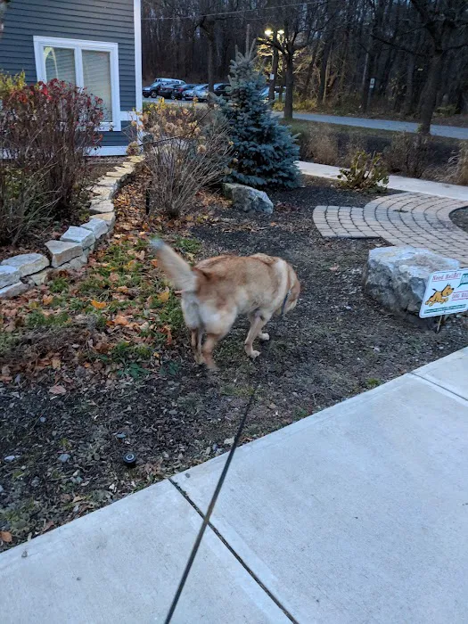 VCA Shaker Animal Hospital 12
