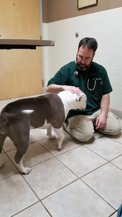 VCA Shaker Animal Hospital 12