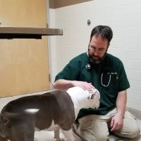 VCA Shaker Animal Hospital ico