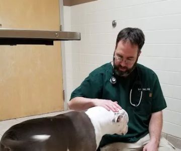 VCA Shaker Animal Hospital