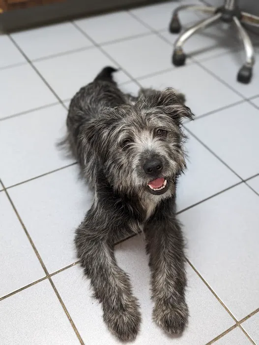 Troy Veterinary Hospital 3