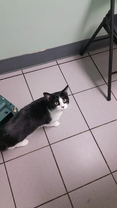 Troy Veterinary Hospital 2