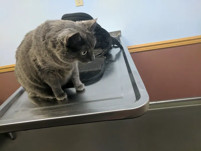 Oakwood Veterinary Clinic 7