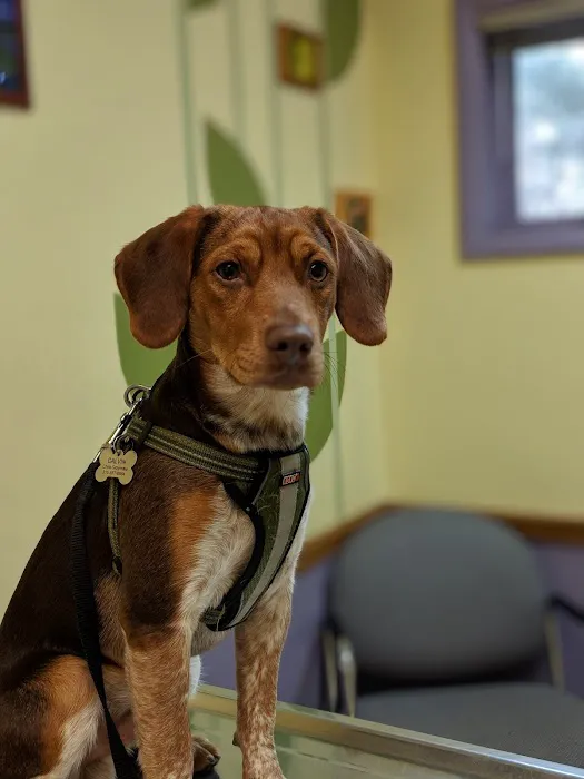 Oakwood Veterinary Clinic 2
