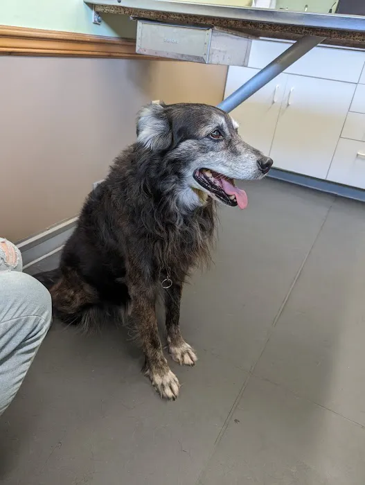 Oakwood Veterinary Clinic 1
