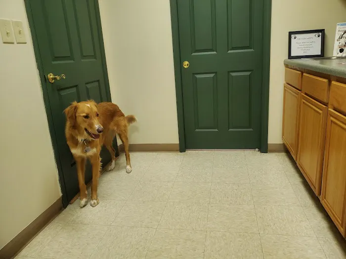 Bayberry Veterinary Care 12