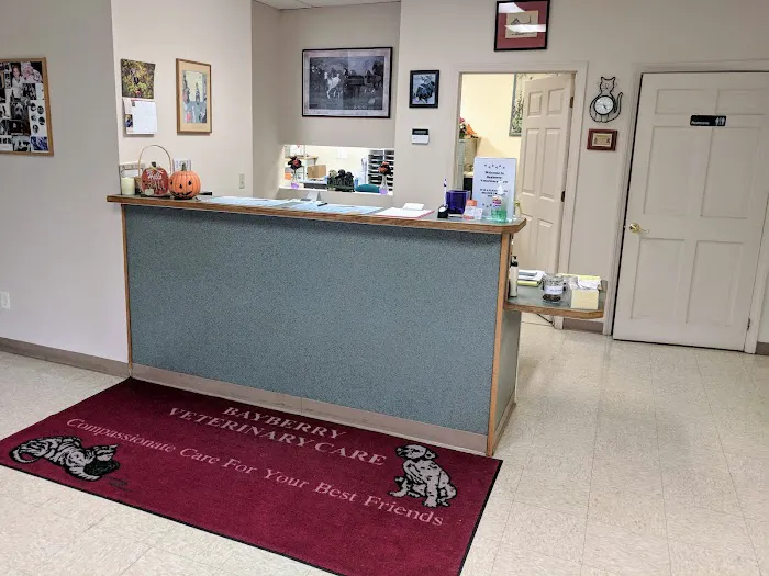 Bayberry Veterinary Care 12