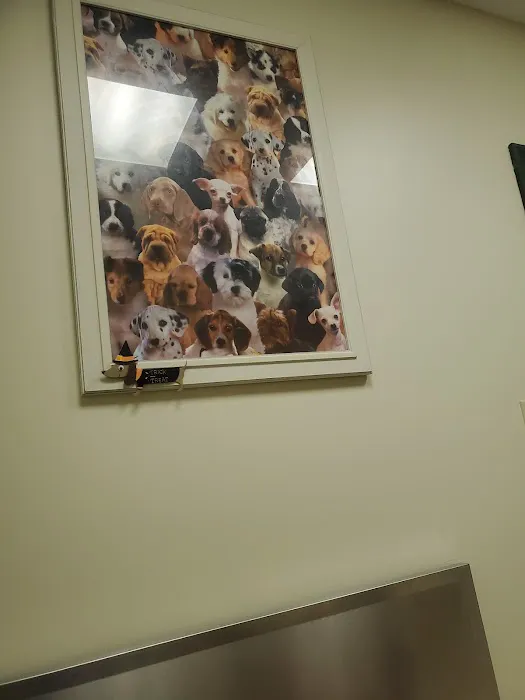 Bayberry Veterinary Care 12