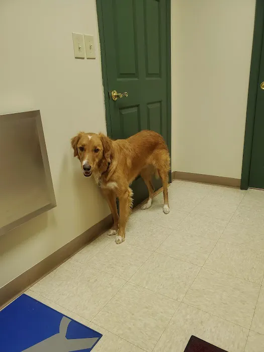 Bayberry Veterinary Care 12