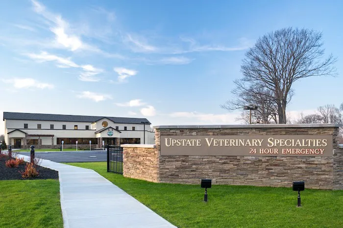Upstate Veterinary Specialties 12
