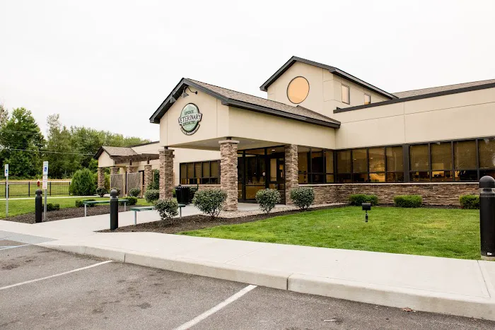 Upstate Veterinary Specialties 12