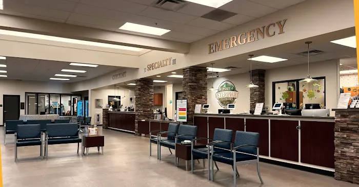 Upstate Veterinary Specialties 12