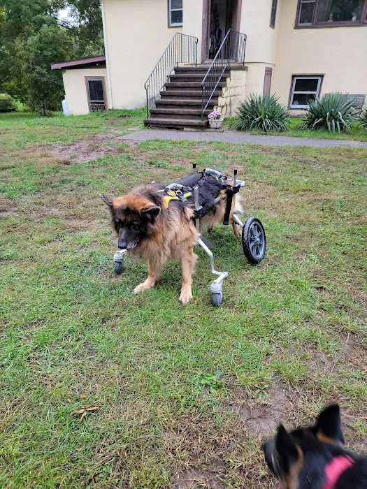 Upstate Veterinary Specialties 12