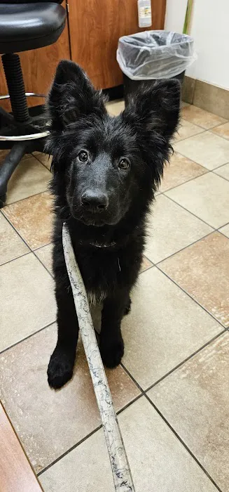 Banfield Pet Hospital 12